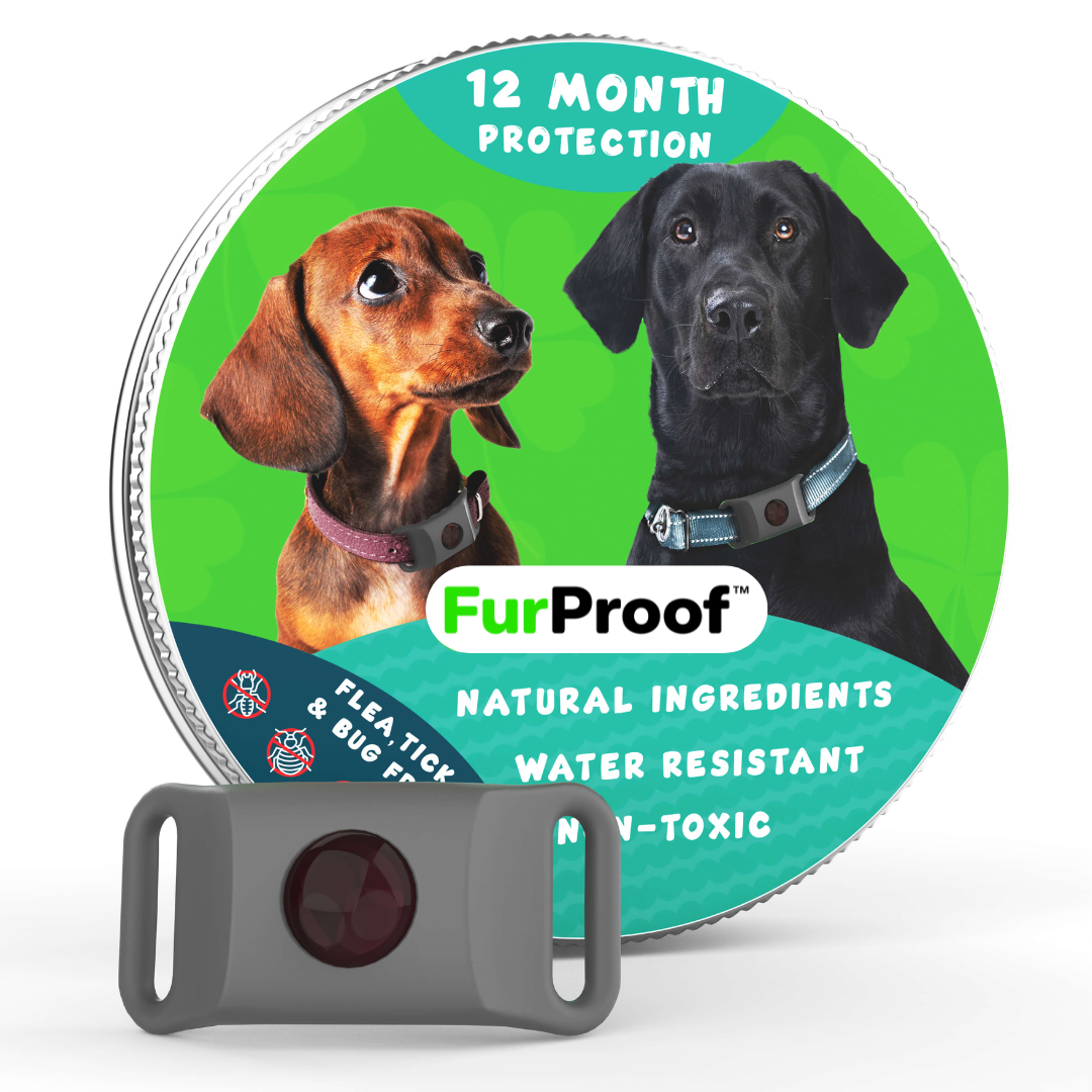FurProof™ — 12 Months of Chemical-Free Flea and Tick Protection