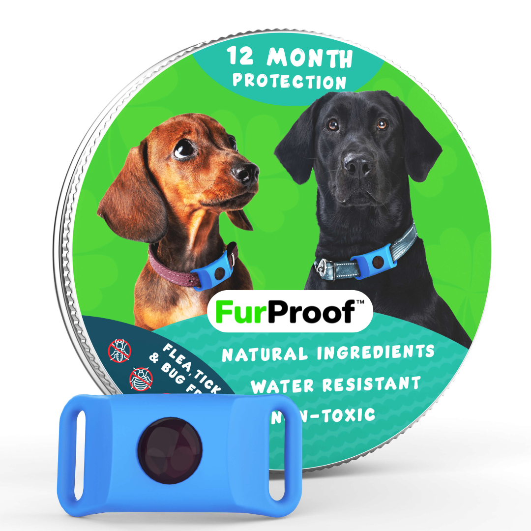 FurProof™ — 12 Months of Chemical-Free Flea and Tick Protection