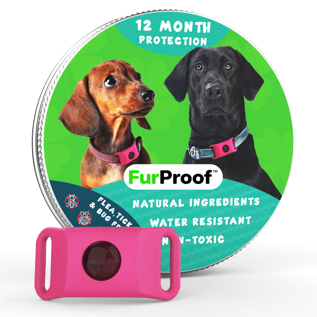 FurProof™ — 12 Months of Chemical-Free Flea and Tick Protection