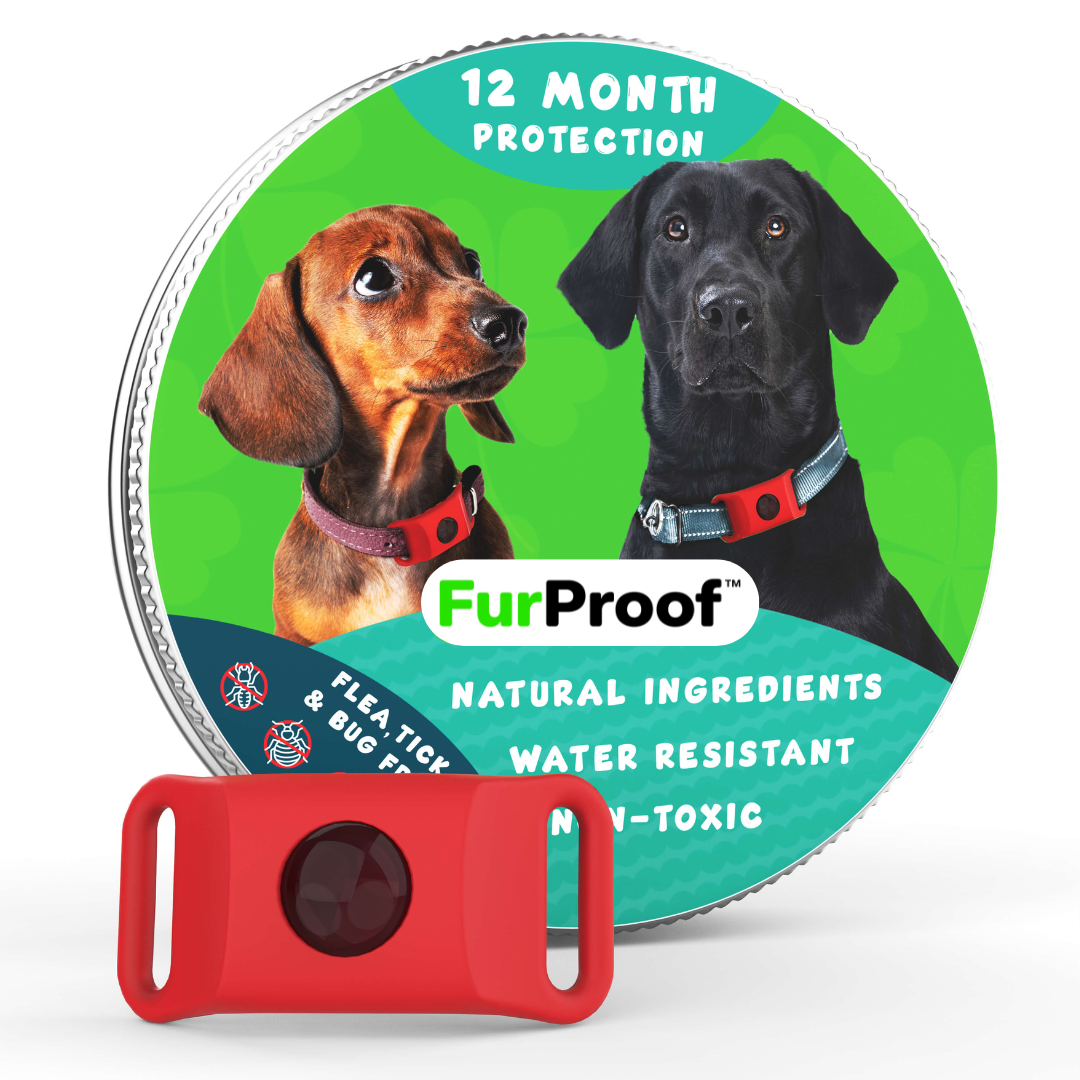 FurProof™ — 12 Months of Chemical-Free Flea and Tick Protection