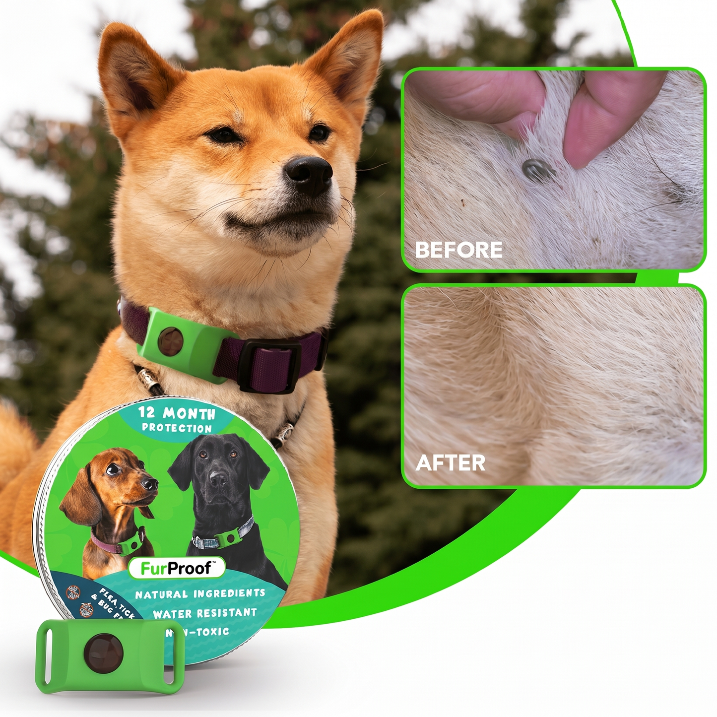 FurProof™ — 12 Months of Chemical-Free Flea and Tick Protection